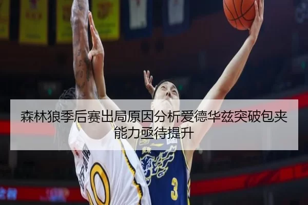 森林狼季后赛出局原因分析爱德华兹突破包夹能力亟待提升